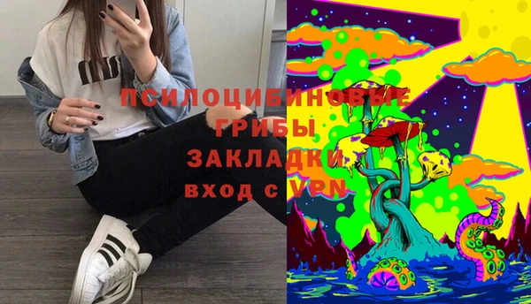 амф Киреевск
