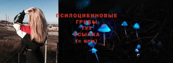 крисы Кинешма