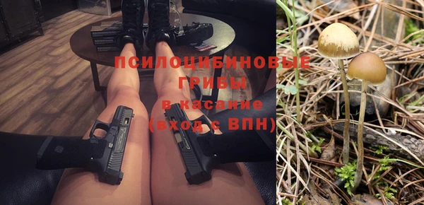 крисы Кинешма