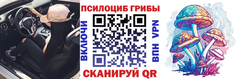 Купить закладки  Черноголовка  Псилоцибиновые грибы Magic Shrooms 